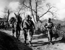 14 aprile 1945. soldati e muli dell  reggimento  compagnia h verso la valle del po