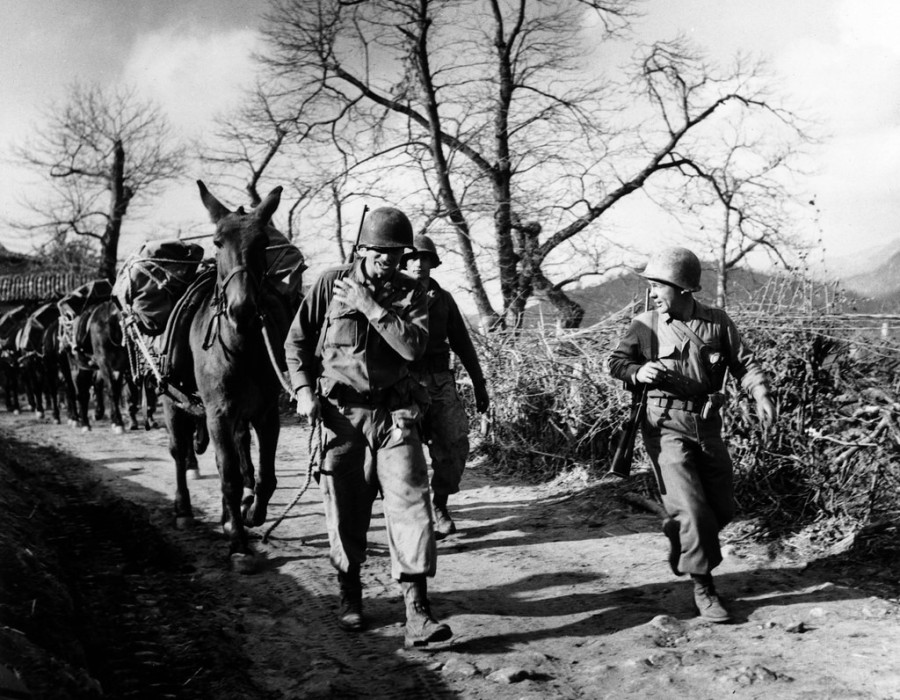 14 aprile 1945. soldati e muli dell  reggimento  compagnia h verso la valle del po