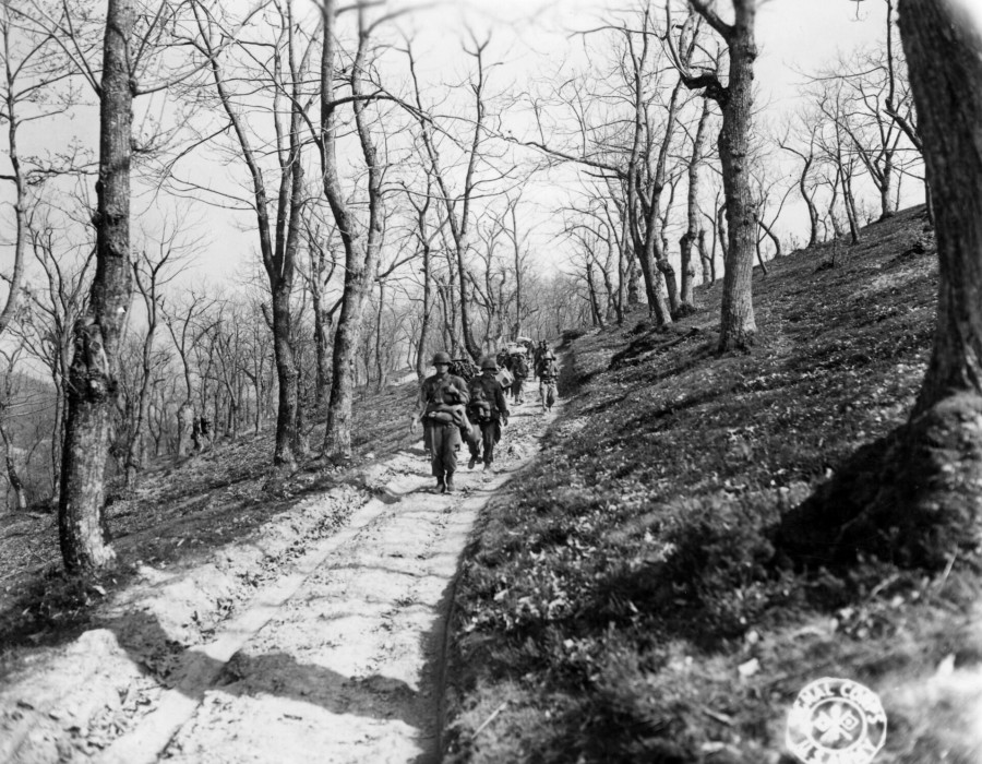 sc 270866   mules carry supplies for the 3rd bn.  87th inf. regt.  10th mtn. div.  going up the road towards tole  italy. 16 april .