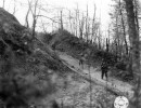 sc 270867   members of the 1st bn.  85th inf. regt. th mtn. div.  moving up a road on the side of mt. le coste.